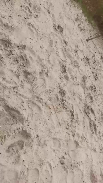 Chantii_Larsii 12-08-2021 Show 